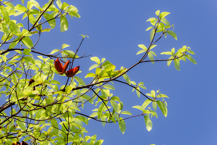 Bất động sản xanh / ESG